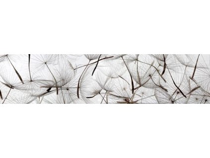 Samolepící fototapeta do kuchyně - Pampeliškové chmýří, 260x60cm, 050