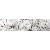 Samolepící fototapeta do kuchyně - Pampeliškové chmýří, 260x60cm, 050
